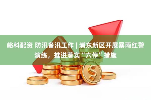 峪科配资 防汛备汛工作 | 浦东新区开展暴雨红警演练，推进落实“六停”措施